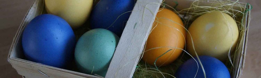 Photo of coloured eggs in a basket