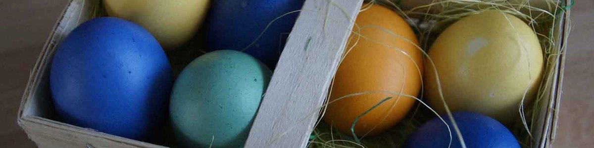 Photo of coloured eggs in a basket
