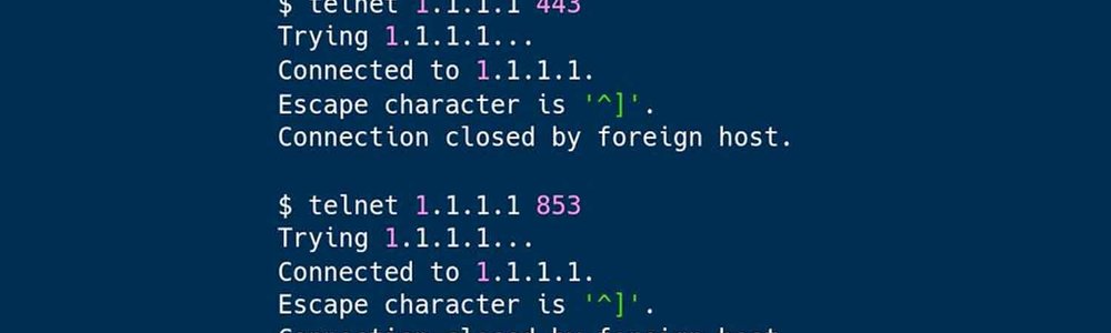 Ecran de commande ne montrant aucune réponse au domaine 1.1.1.1|