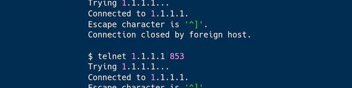 Command screen showing no response to domain 1.1.1.1|