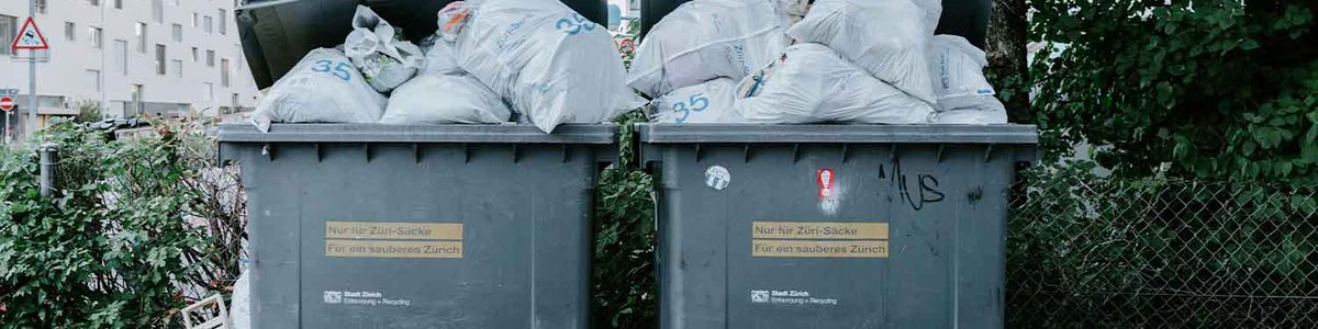 Photo of two dumpsters