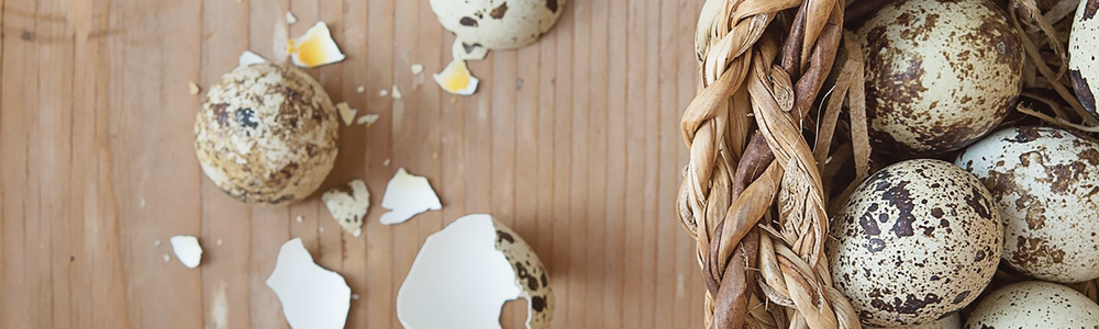 Photo of eggs in a basket with one egg broken on the side|||||||||