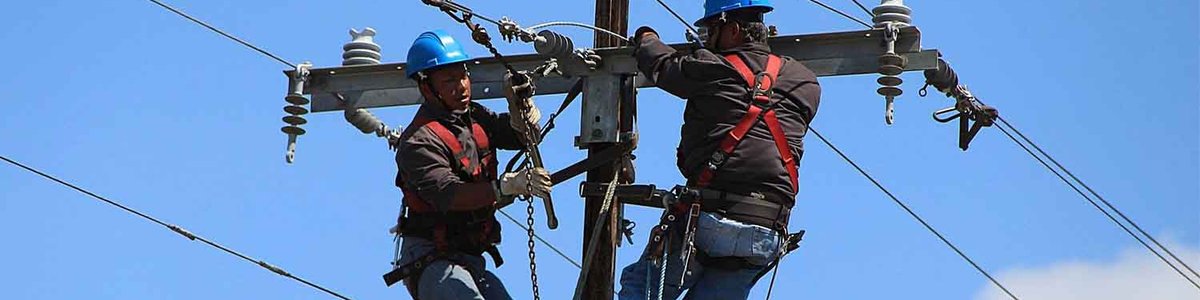 Photo of power technicians up an electricity pole.||