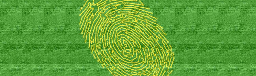 Illustration of a fingerprint