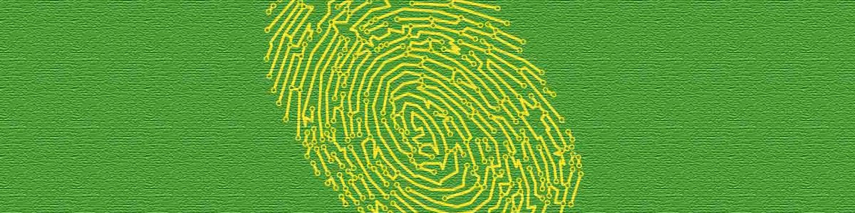 Illustration of a fingerprint