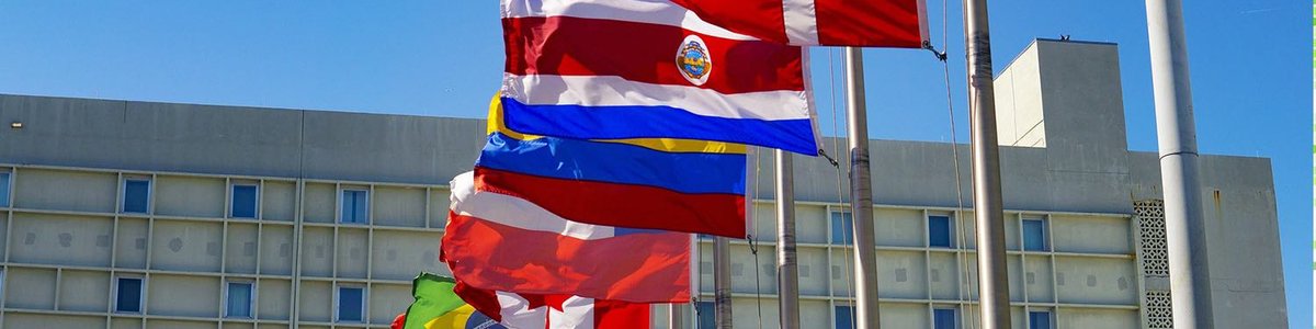 International flags in front of a building|