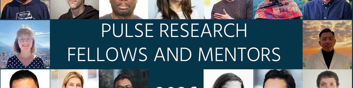 Montage of fellow and mentor profile photos