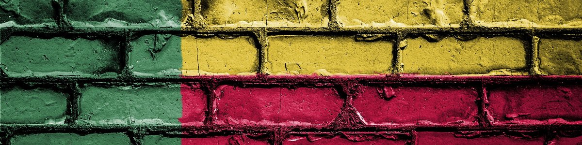 Drapeau du Bénin peint sur un mur de briques