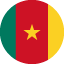 Flag of Cameroon