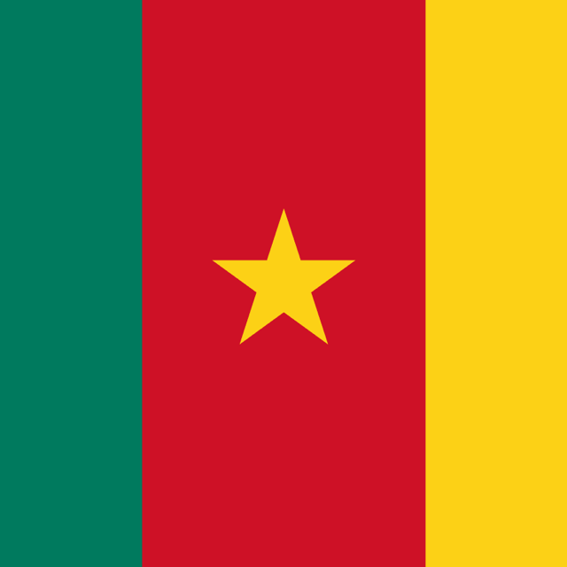 Flag of Camerún