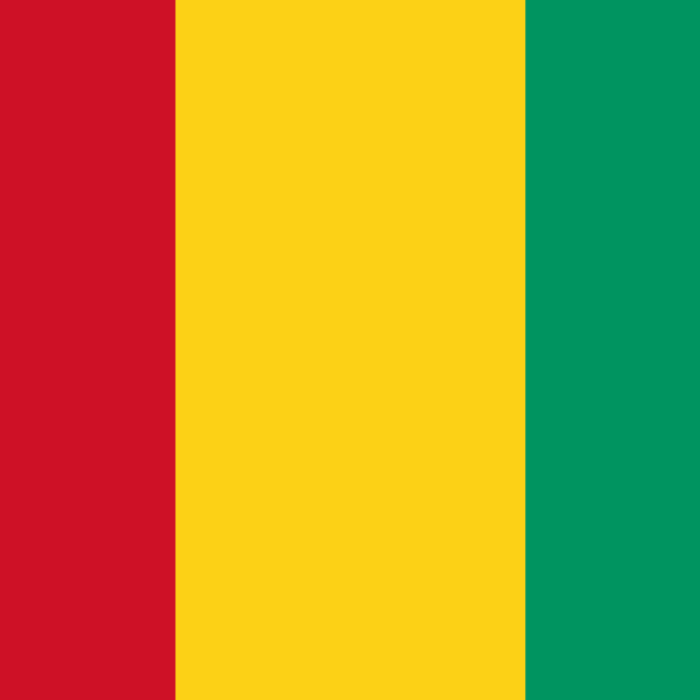 Flag of Guinée