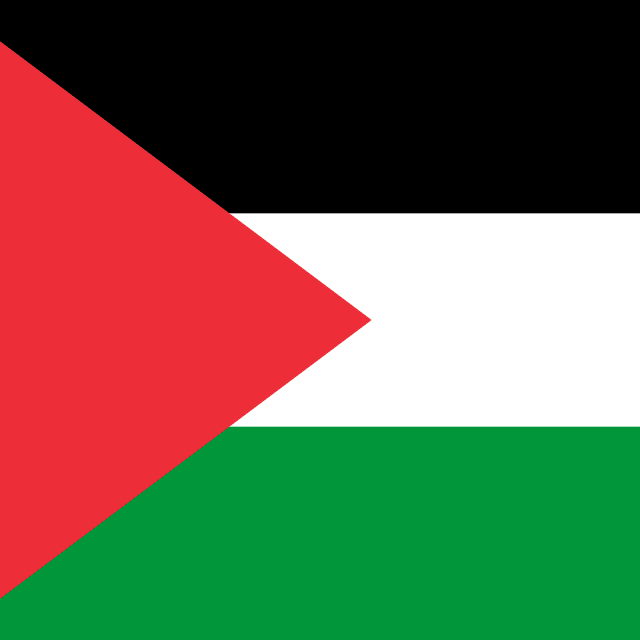 Flag of Palestine, État de