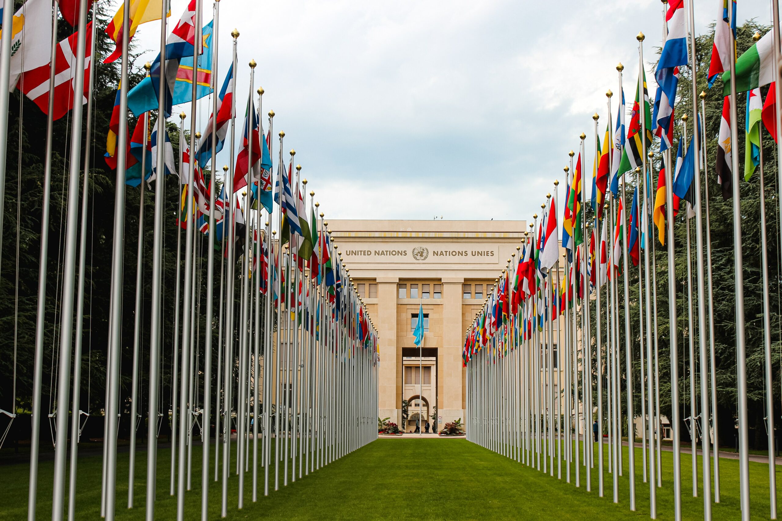 Drapeaux des pays et façade du bâtiment de l'ONU
