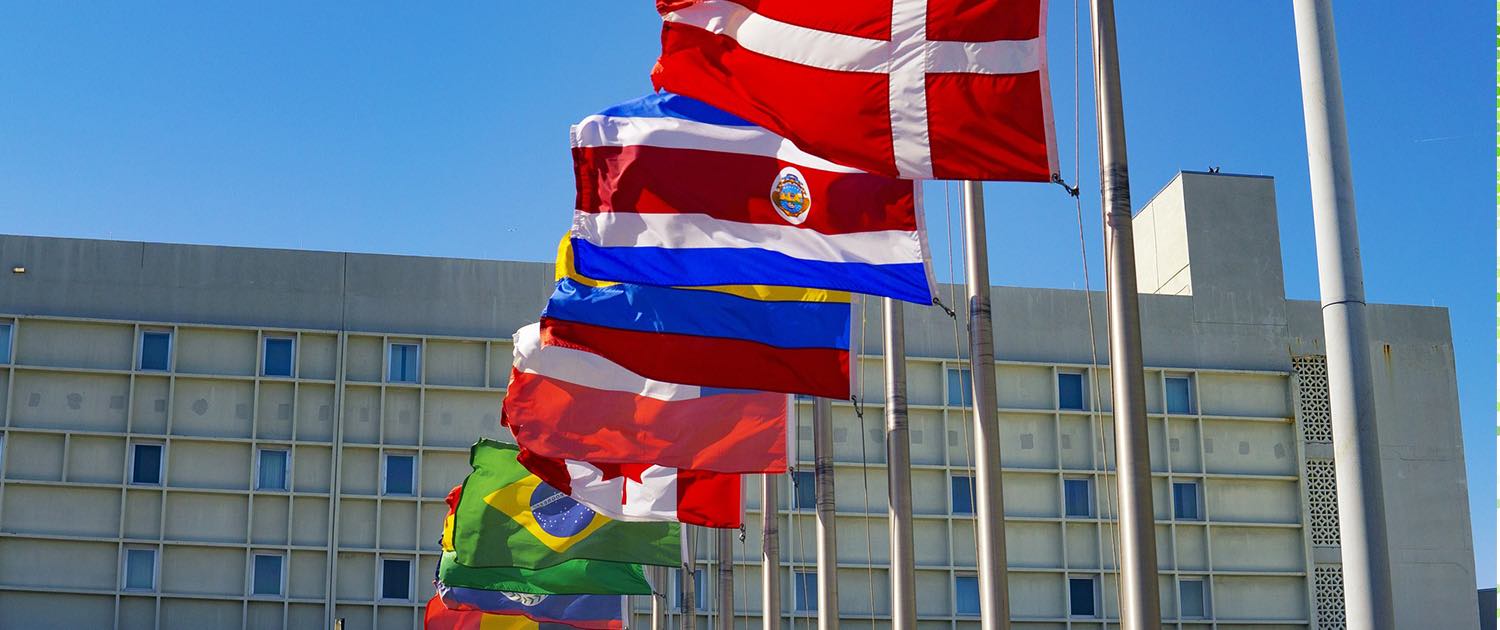 International flags in front of a building