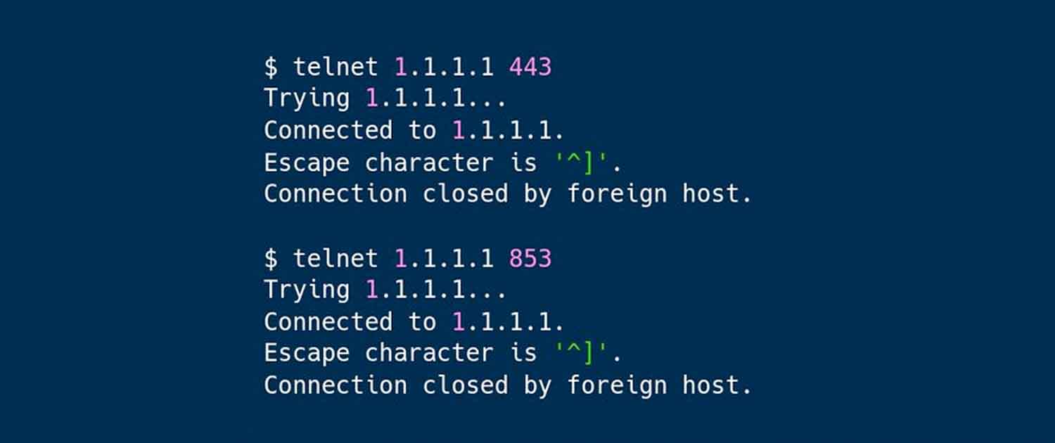 Command screen showing no response to domain 1.1.1.1