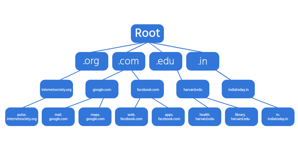 Infographic showing the different components that make up the DNS